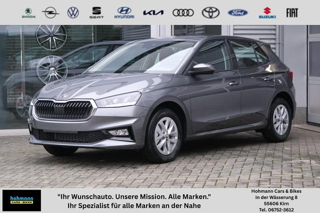 Skoda Fabia - Selection 1.0 LED Kamera App-Navi PDC Winterpaket
