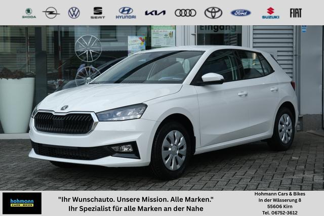 Skoda Fabia - Selection 1.0 TSI LED Sitzheizung Tempomat Einparkhilfe