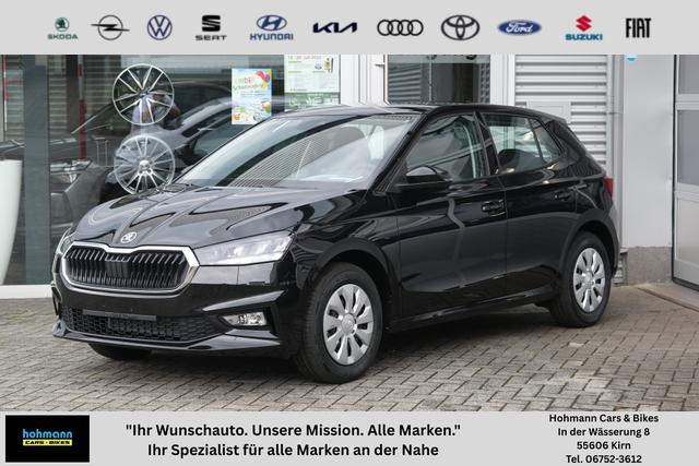 Skoda Fabia - Selection 1.0 TSI LED Sitzheizung Tempomat Einparkhilfe