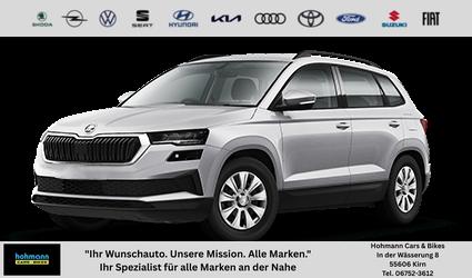 Skoda Karoq - Selection (Selection) 1.5 TSI 110 kW (150 PS) 7-Gang DSG