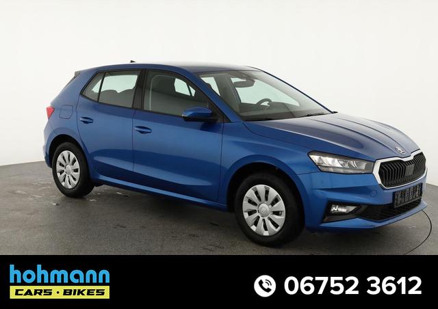 Skoda Fabia - Selection 1.0 TSI Selection, Ladeboden, Park, Winterpaket, SmartLink, 4-J Garantie