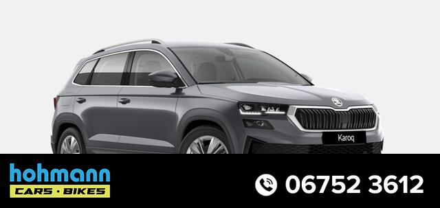 Skoda Karoq - Top Selection 2.0 TDI 7-Gang-DSG 4x4