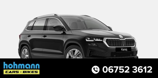 Skoda Karoq - Top Selection 2.0 TDI 7-Gang-DSG 4x4