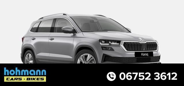 Skoda Karoq - Top Selection 2.0 TDI 6-Gang