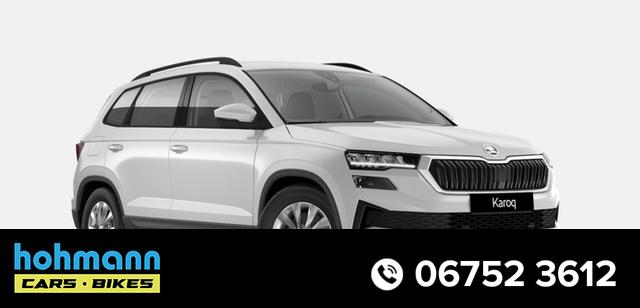 Skoda Karoq - Selection 2.0 TDI 7-Gang-DSG