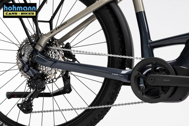 Ghost E-TERU ADVANCED EQ LOW Uni eerie blackbeaver - glossy Größe: L 