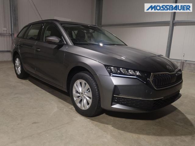 Skoda / Octavia Combi / Grau / / / , Beispielbilder, ggf. teilweise mit Sonderausstattung