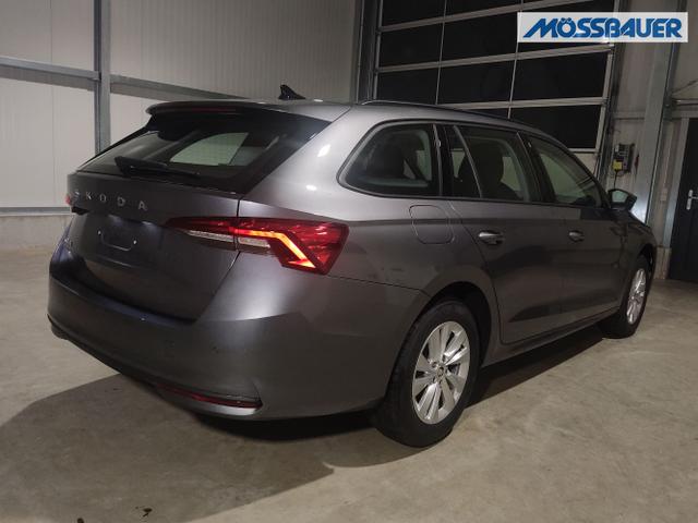 Skoda / Octavia Combi / Grau / / / , Beispielbilder, ggf. teilweise mit Sonderausstattung