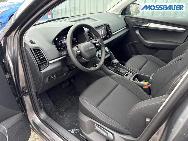 Skoda / Karoq / Grau / / / , Beispielbilder, ggf. teilweise mit Sonderausstattung