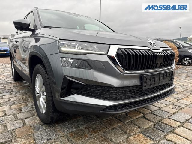 Skoda / Karoq / Grau / / / , Beispielbilder, ggf. teilweise mit Sonderausstattung