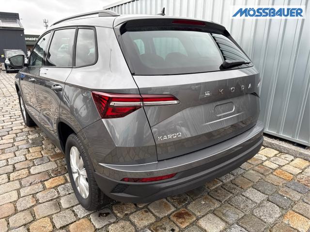 Skoda / Karoq / Grau / / / , Beispielbilder, ggf. teilweise mit Sonderausstattung