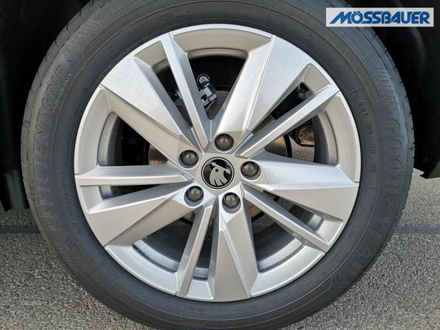 Skoda Karoq Selection 2.0 TDI DSG GV5 AHK 17 Ladeb 