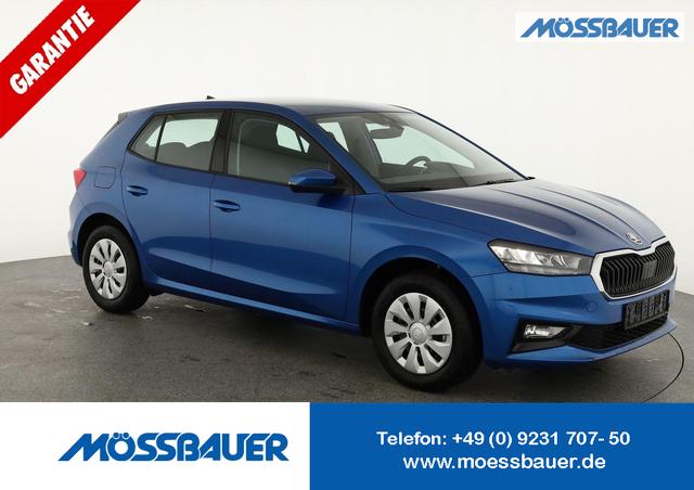 Skoda Fabia - Selection 1.0 TSI Selection, Ladeboden, Park, Winterpaket, SmartLink, 4-J Garantie