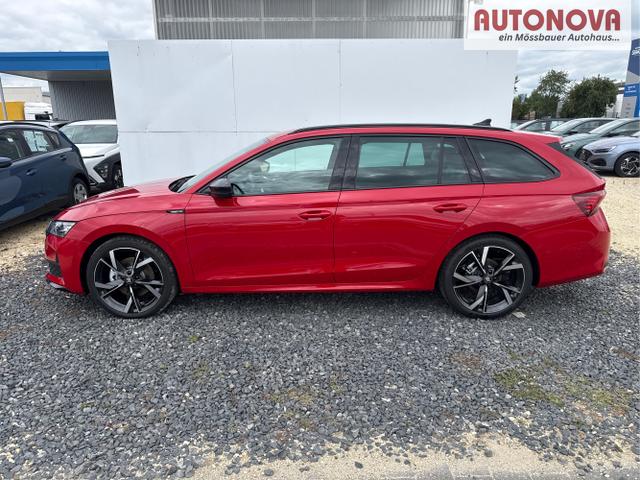 Skoda / Octavia / Grau / / / 