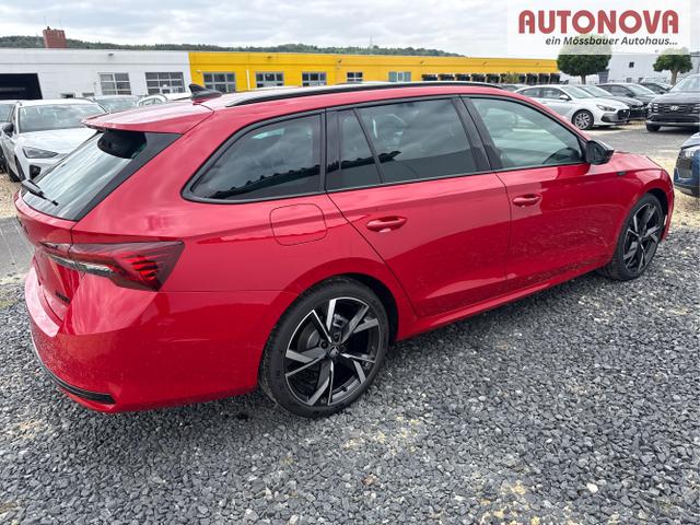 Skoda / Octavia / Grau / / / 