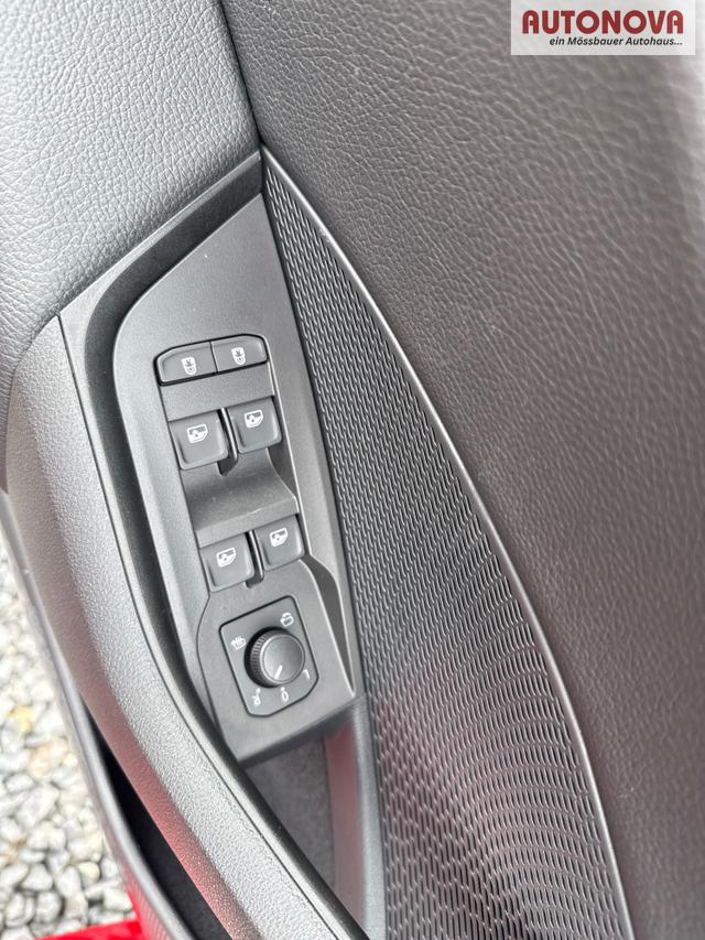 Skoda / Octavia / Grau / / / 