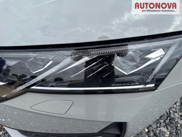 Skoda / Octavia / Grau / / / 