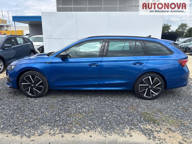 Skoda / Octavia / Grau / / / 