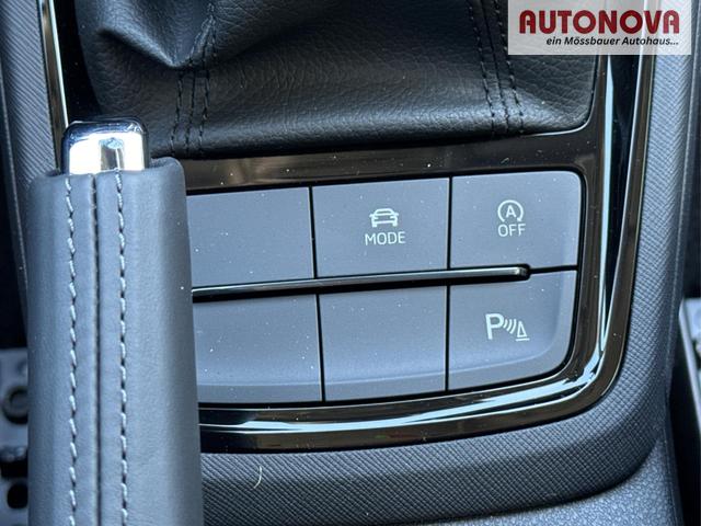 Skoda / Kamiq / Grau / / / SHZ+KAMERA+SMARTLINK+PDC+LED+16 ALU, Beispielbilder, ggf. teilweise mit Sonderausstattung