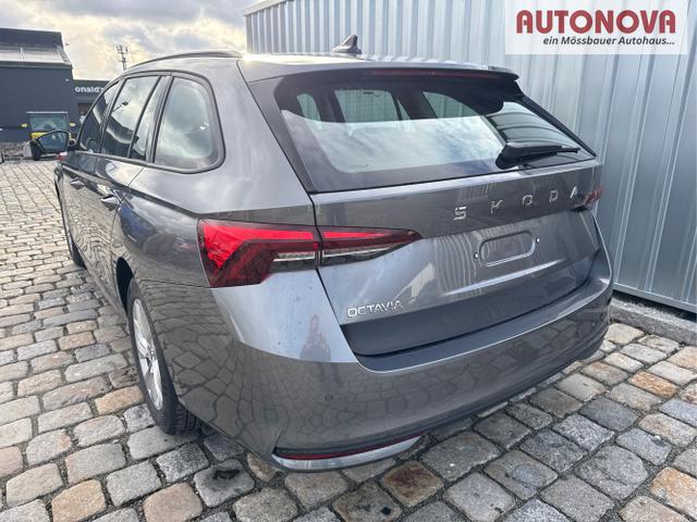 Skoda / Octavia Combi / Grau / / / , Beispielbilder, ggf. teilweise mit Sonderausstattung