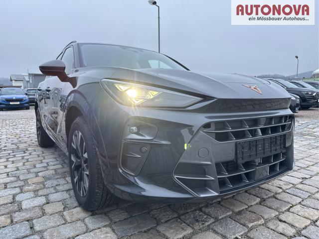 Cupra / Terramar / Grau / / / 