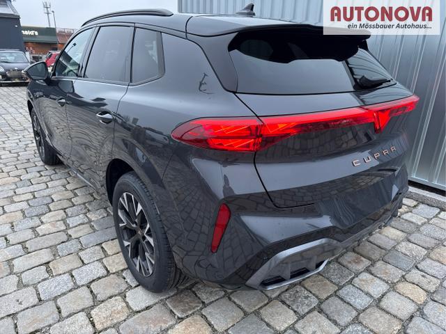 Cupra / Terramar / Grau / / / 
