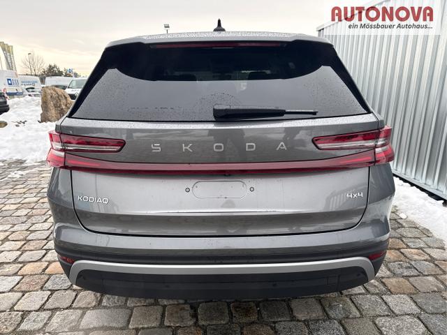 Skoda / Kodiaq / / / / , Beispielbilder, ggf. teilweise mit Sonderausstattung