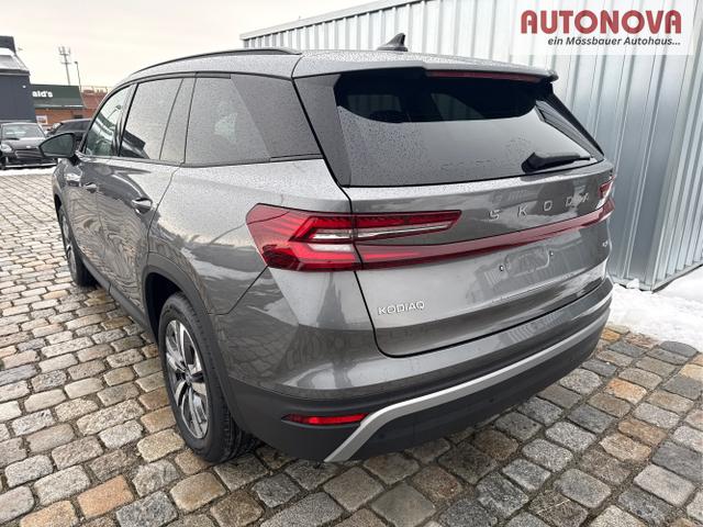 Skoda / Kodiaq / / / / , Beispielbilder, ggf. teilweise mit Sonderausstattung