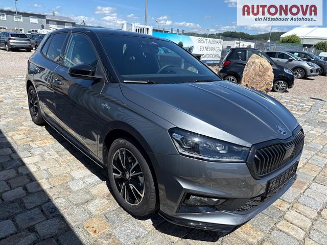 Skoda / Fabia / Grau / / / 