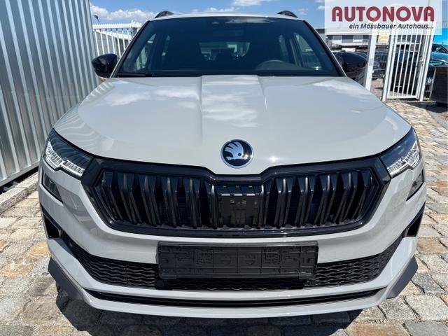 Skoda / Karoq / Grau / / / , Beispielbilder, ggf. teilweise mit Sonderausstattung