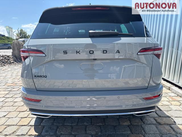Skoda / Karoq / Grau / / / , Beispielbilder, ggf. teilweise mit Sonderausstattung