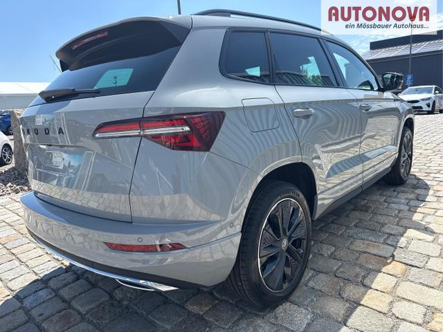 Skoda / Karoq / Grau / / / , Beispielbilder, ggf. teilweise mit Sonderausstattung