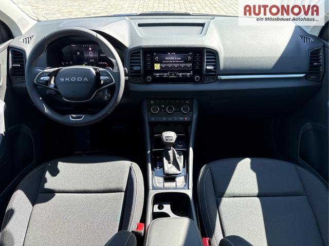 Skoda / Karoq / Grau / / / , Beispielbilder, ggf. teilweise mit Sonderausstattung