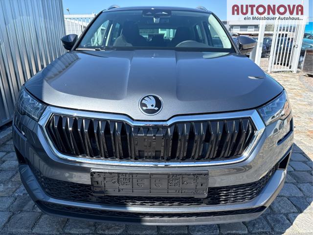 Skoda / Karoq / Grau / / / , Beispielbilder, ggf. teilweise mit Sonderausstattung