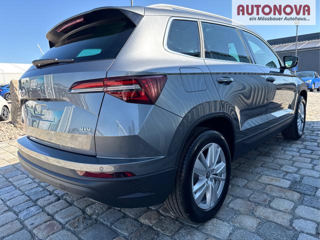 Skoda / Karoq / Grau / / / , Beispielbilder, ggf. teilweise mit Sonderausstattung