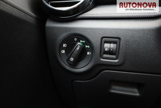 Skoda Fabia Selection 1.0 TSI Selection, Tempomat, Park, Winterpaket, SmartLink, 4 J.-Garantie 