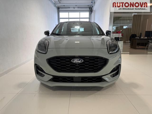 Ford Puma ST-Line Cactus Grau Dach Schwarz