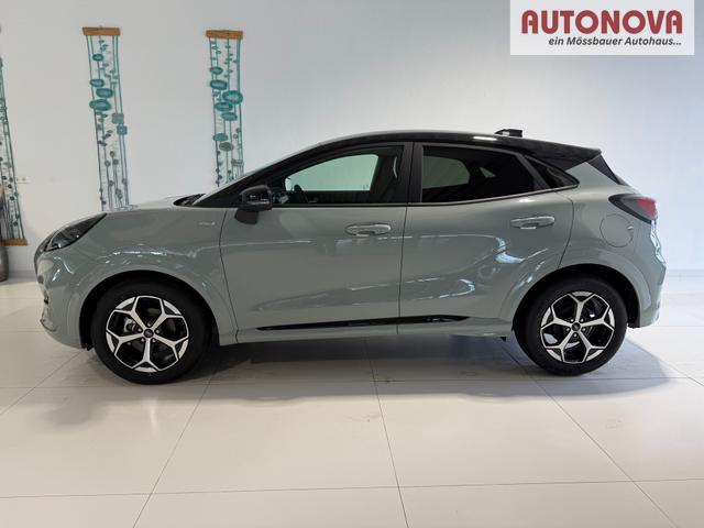 Ford Puma ST-Line Cactus Grau Dach Schwarz
