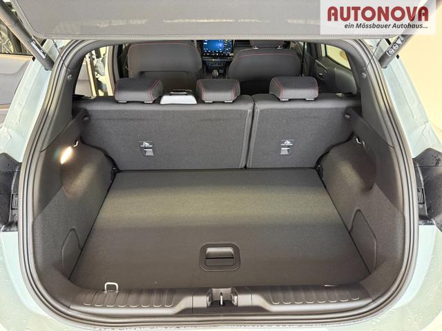 Ford Puma ST-Line Cactus Grau Dach Schwarz