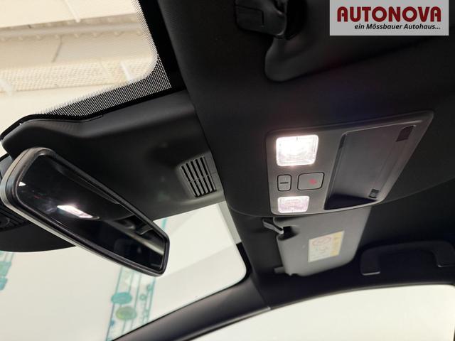 Ford Puma ST-Line Cactus Grau Dach Schwarz