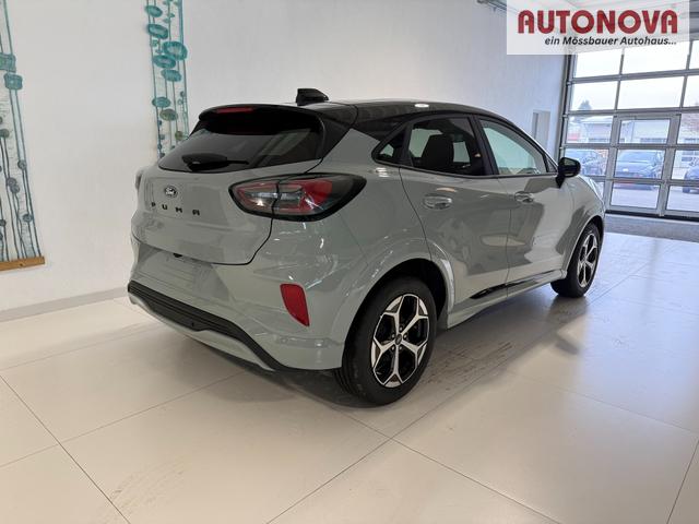 Ford Puma ST-Line Cactus Grau Dach Schwarz