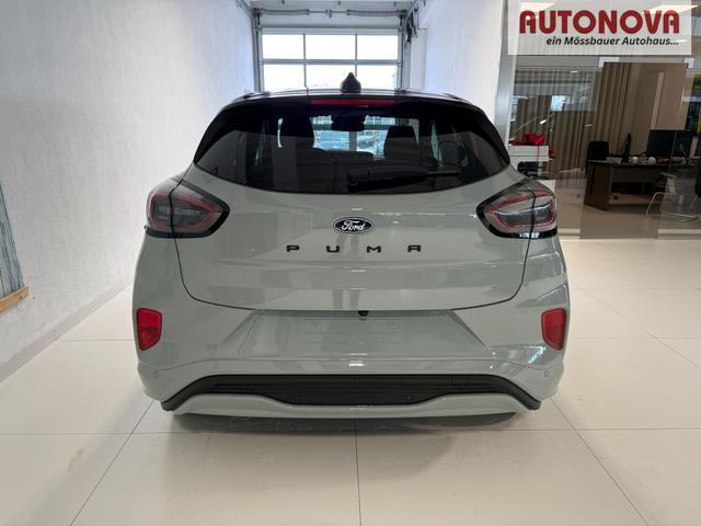 Ford Puma ST-Line Cactus Grau Dach Schwarz