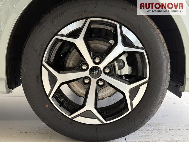 Ford Puma ST-Line Cactus Grau Dach Schwarz