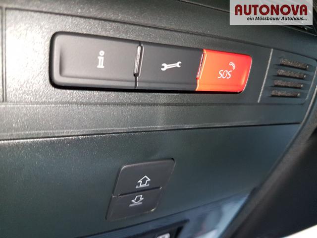 Skoda / Kamiq / Rot / Monte Carlo / / , Beispielbilder, ggf. teilweise mit Sonderausstattung