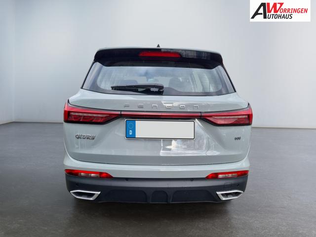 DFSK / Fengon 600 / Grau / / / 