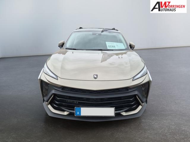 DFM / DFM Forthing 5 (Facelift) / Grau / / / 