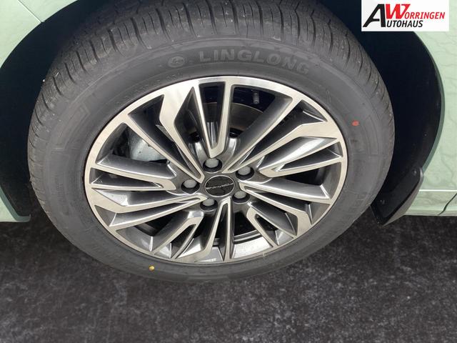 DFM / DFM Forthing 4 / Hellgrün / / / 