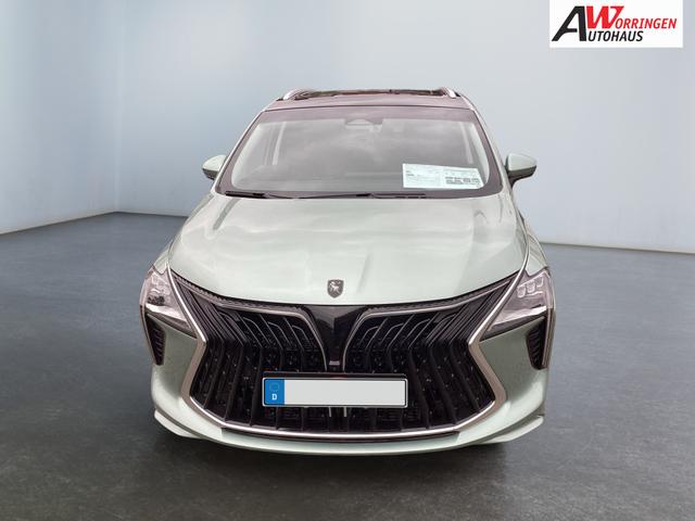 DFM / DFM Forthing 4 / Hellgrün / / / 