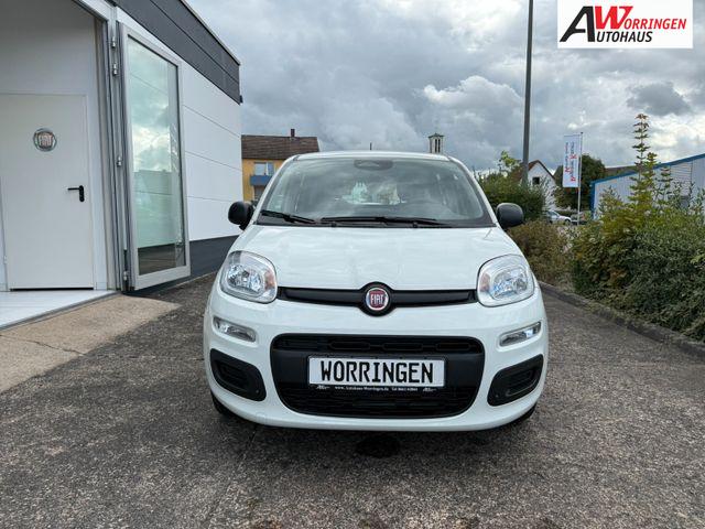 Fiat Panda 1.0 Hybrid 