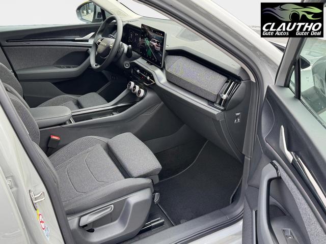 Skoda Kodiaq Grau 2.0 TSI 4x4 kaufen 